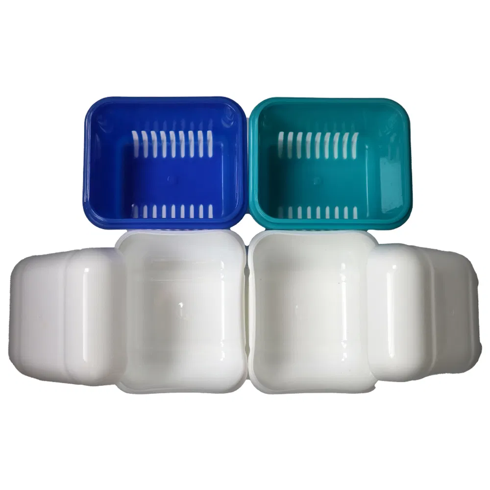 Colorful PP Denture Storage Box for Personal Hygiene