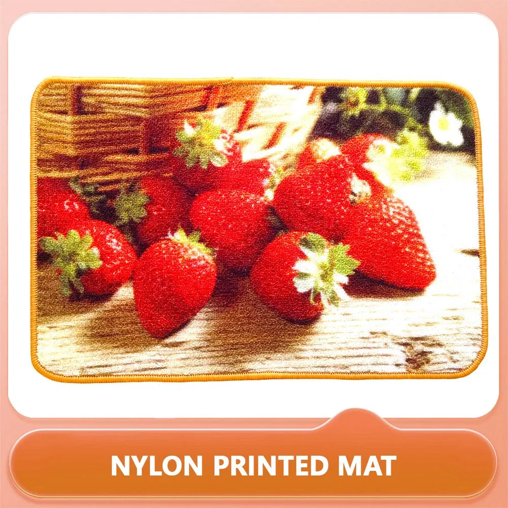 Home Indoor Custom Logo Outdoor Front Door Printed Carpet, Nylon Printed Carpet