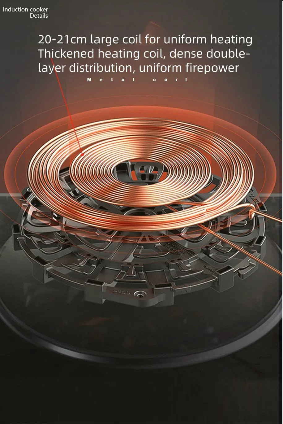 Electric Cooker Infrared Induction 2200W Induction Cooker Fire Induction Stove