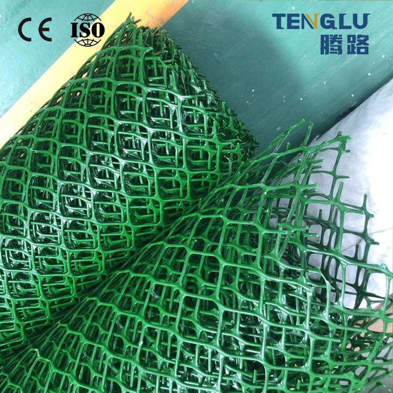 High Quality HDPE Plastic Geonet Drainage for Road Construction and Landfill Site