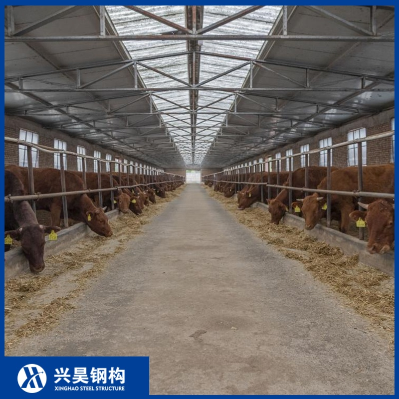 Continuous High-Rigidity Steel Truss Assembly Prefab Metal Storage Farming Equipment Steel Structure Sheep/Goat/Pig/Hog/Cattle/Cow/Poultry House/Shed