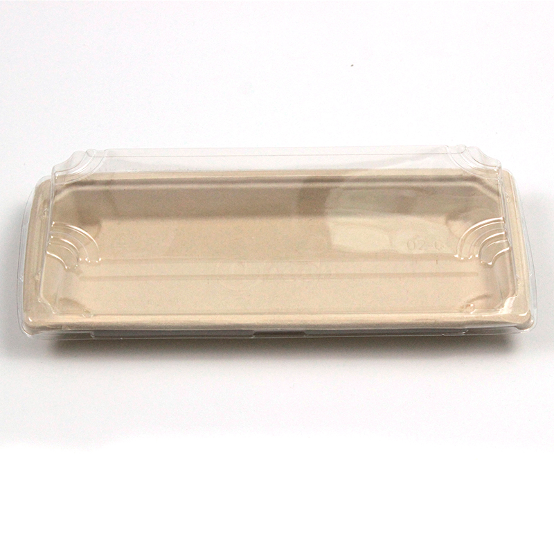 Eco-Friendly Disposable Sugarcane Food Container Bagasse Sushi Plate