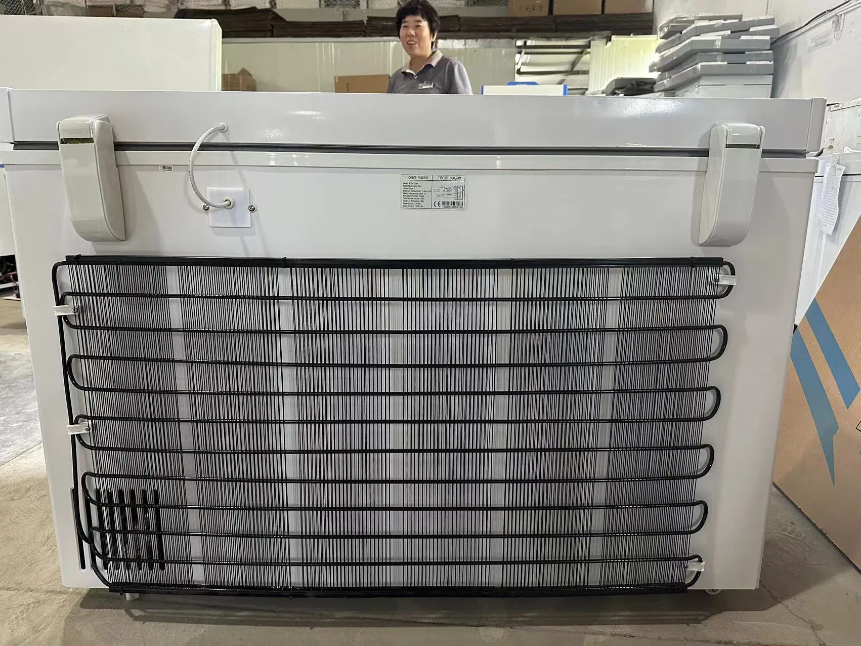 108L 158L 208L 258L 308L 12V Deep Chest Freezer with 110mm Foaming Insulation