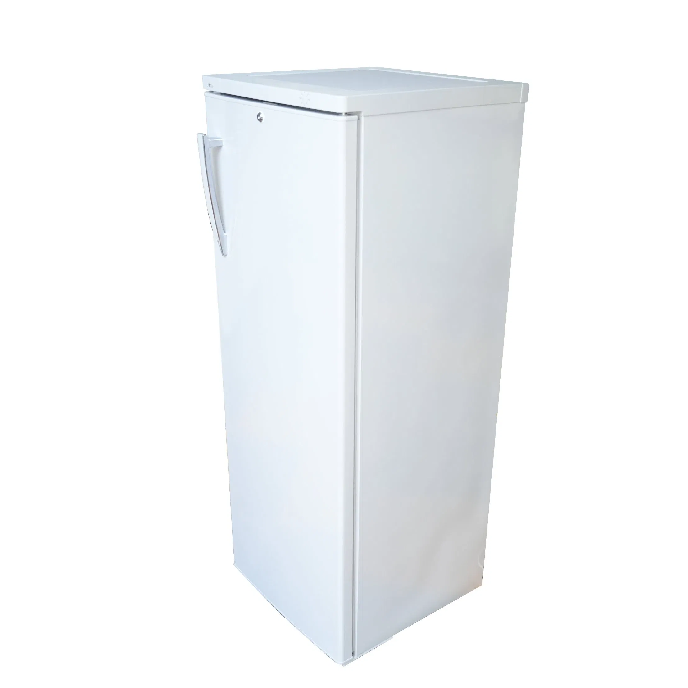 Hot Selling Upright Standing Freezer with 8 Brackets 205L Water Freezer