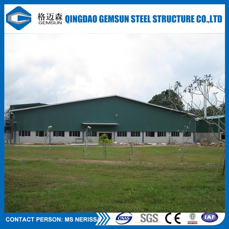 Painting and Hot-DIP Galvanized Steel Structure Prefabricated House/ Warehouse