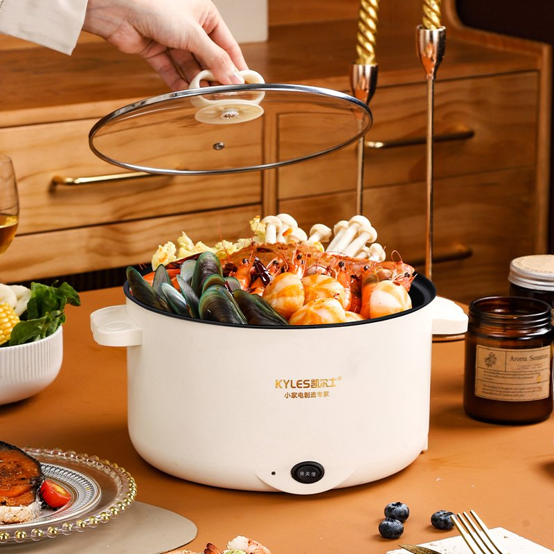 Kaiershi Jj-26f The Best All in One Food Electric Cooker with Glass Lid