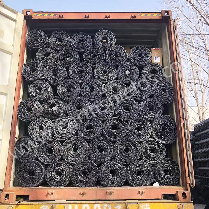 Biaxial Plastic Geogrid for Road High Quality PP Polypropylene Plastic Geogrid