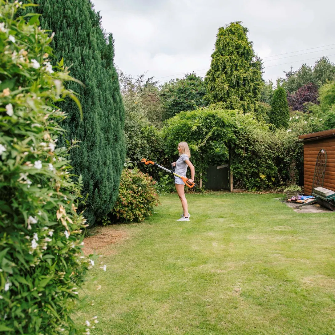 Steel Double Blade Cordless Charger Multi-Position Pole Hedge Lh C41A Trimmer