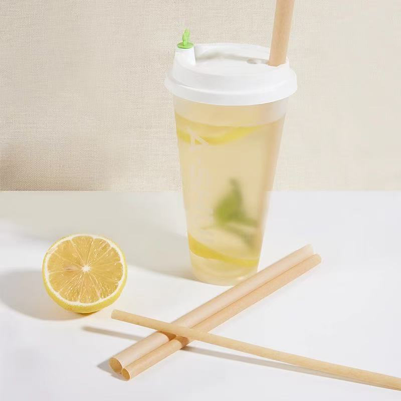 Eco Friendly Customized White PLA Pha Straws Compost Boba Sorbetes Smoothie Straw Manufacturer Marine Degradable Straws