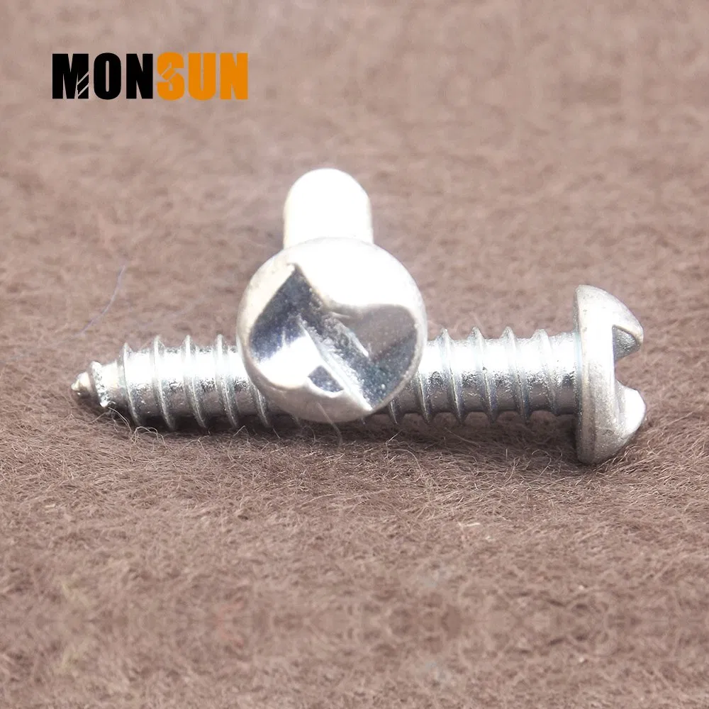 One-Way Truss Pan Head Security Self-Tapping Screw for Sheet Metal