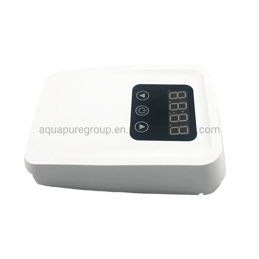 300mg/H Timer Control Ozone Generator Air Water Purifier for Vegetables and Fruit