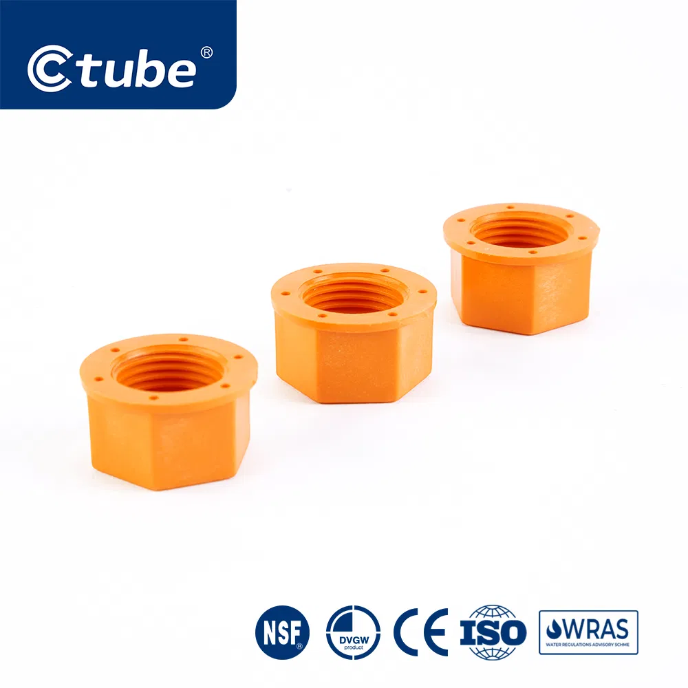 Ctube PPR Female Threaded Cap Chemical Resistant Pipe Fitting Solution