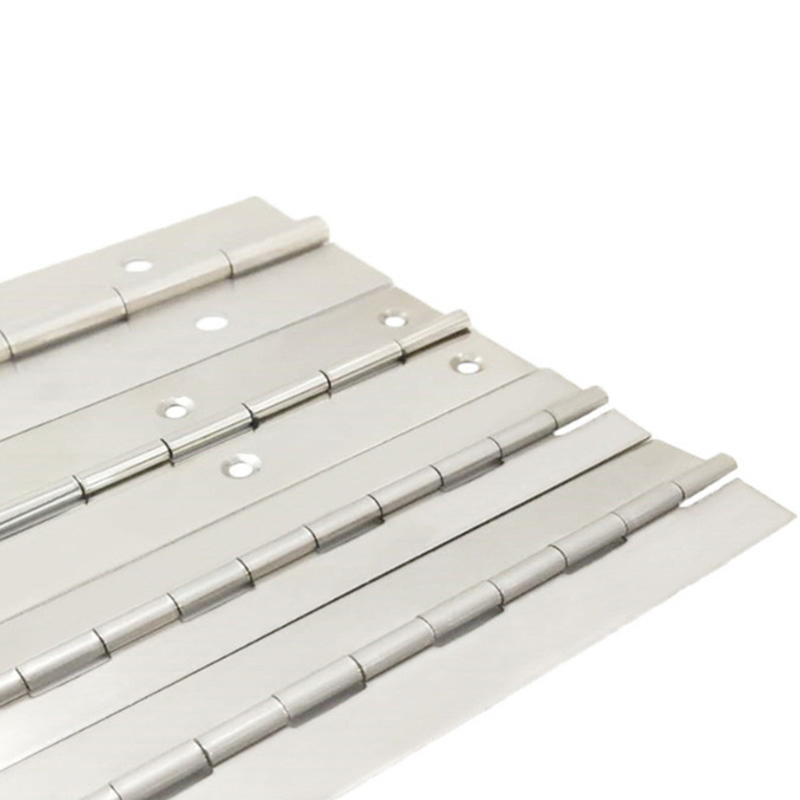 Supply Stainless Steel SS304 Long Heavy Duty Helix Hinge