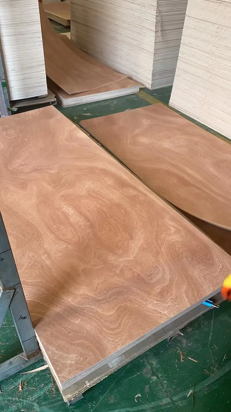 China Sapeli Door Skin Plywood Sapeli Plywood Red Face Plywood