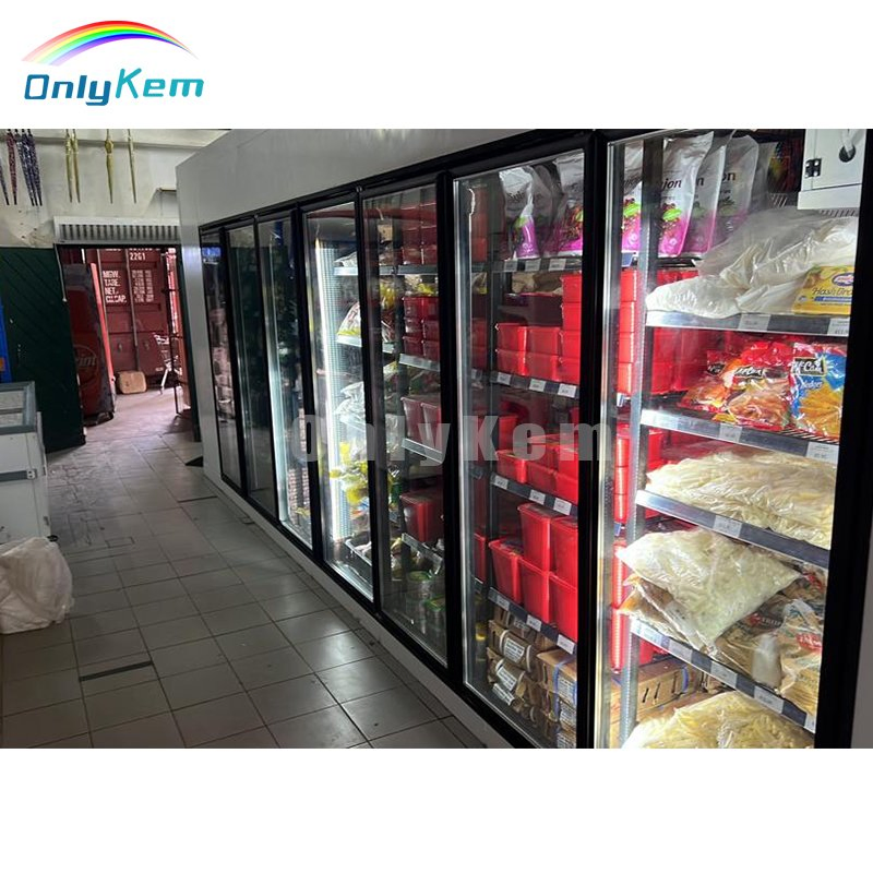 Cooler Double Glass Door for Display Walk in Cooler Room for Dealer