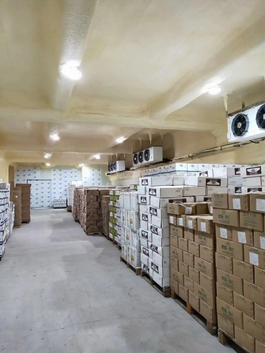 Chiller Evaporator Industrial Refrigeration Unit Evaporator for Cold Room Storage