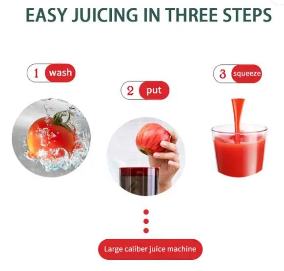 OEM 110V/220V 250W Commercial Electric Automatic Cold Press Whole Slow Vertical Masticating Juice Maker Big Mouth Fruit Juicer