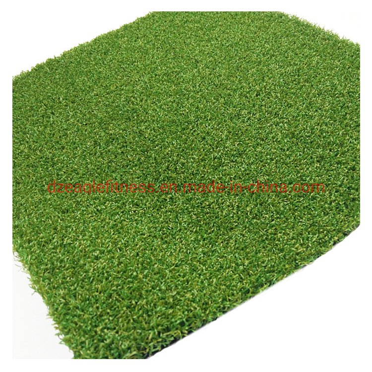 High Quality Artificial Grass for Indoor Gym