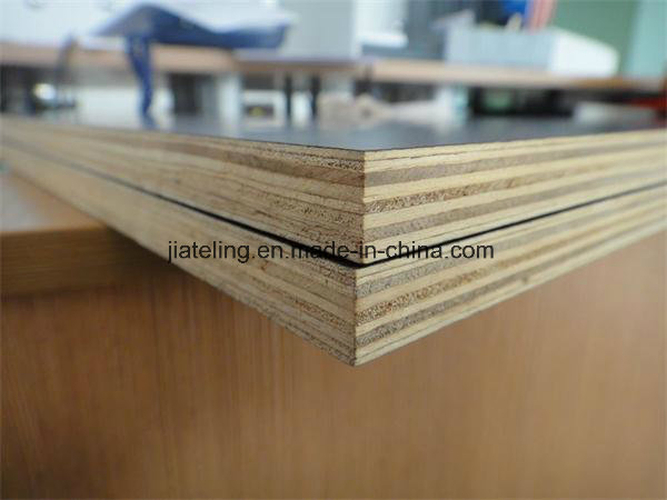 Finger Jointed Boards/Recycle Core Plywood Board