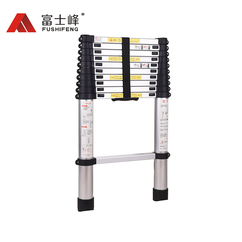 Aluminum Telescopic Ladder with 10 Steps