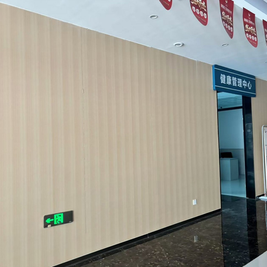 Chemical-Resistant Reliable Impact-Resistant Interior Wall Panel for Laboratories