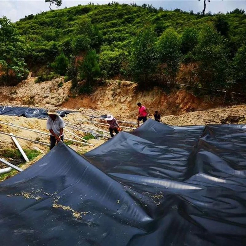 Factory Supply HDPE Geomembrane for Pool for Railways/ Airports/ Municipal Roads