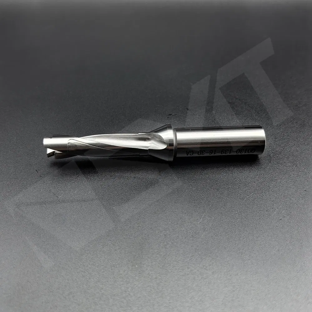 Hole-Making-Drilling-Head Exchangeable Drills-Drill Body-Qd130-139-16-3xd-Ca