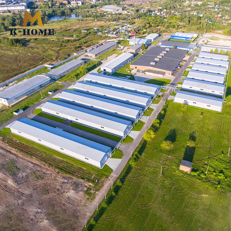 Factory Price Prefabricated Peb Steel Structure Workshop