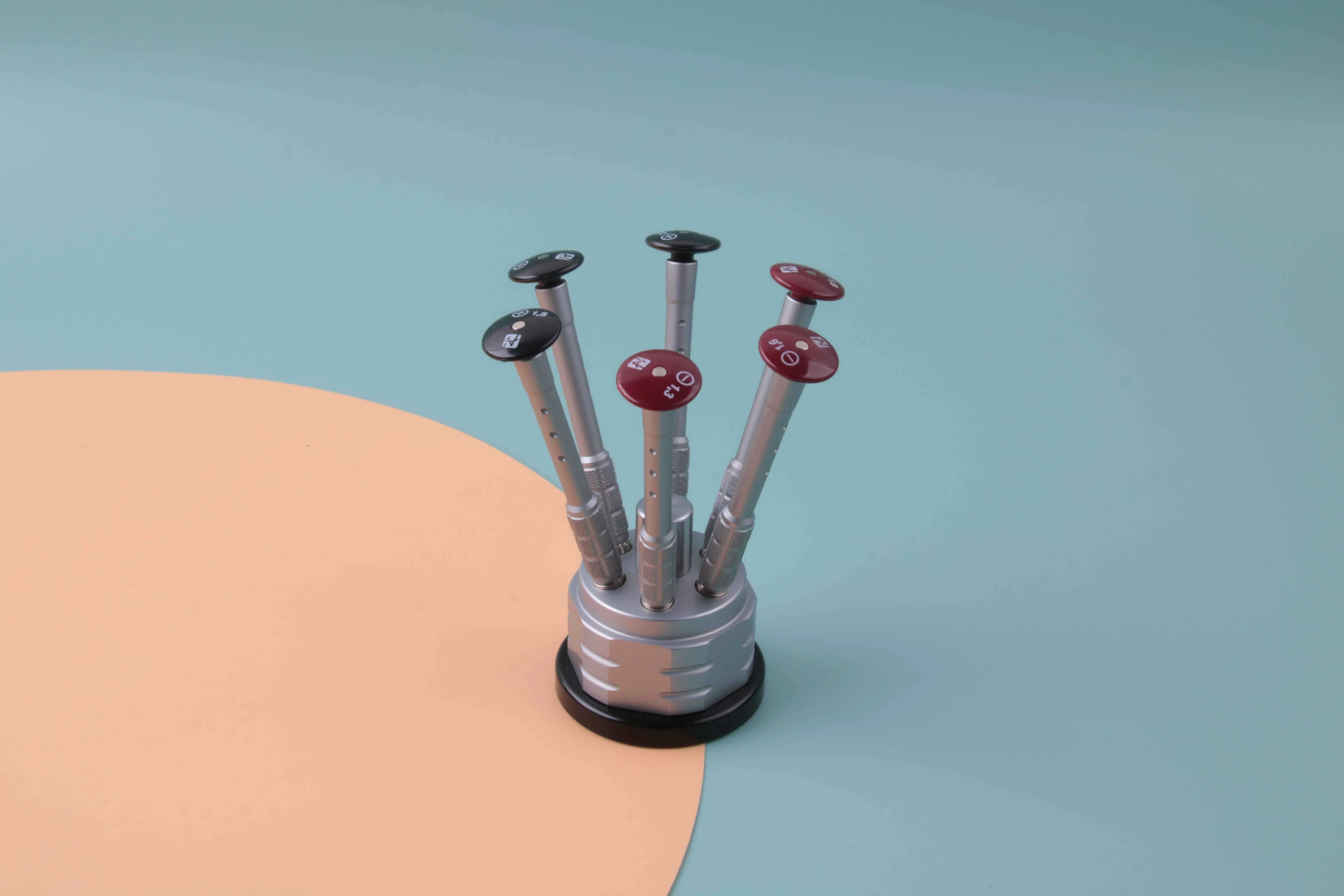6 in 1 Screwdriver Set with Spare Blades