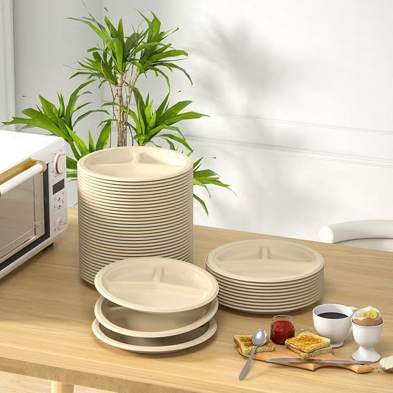 High Quality Biodegradable Disposable 9 Inch Sugarcane Plates for Restaurants Free Sample Paper Dishes with Lid Accessory