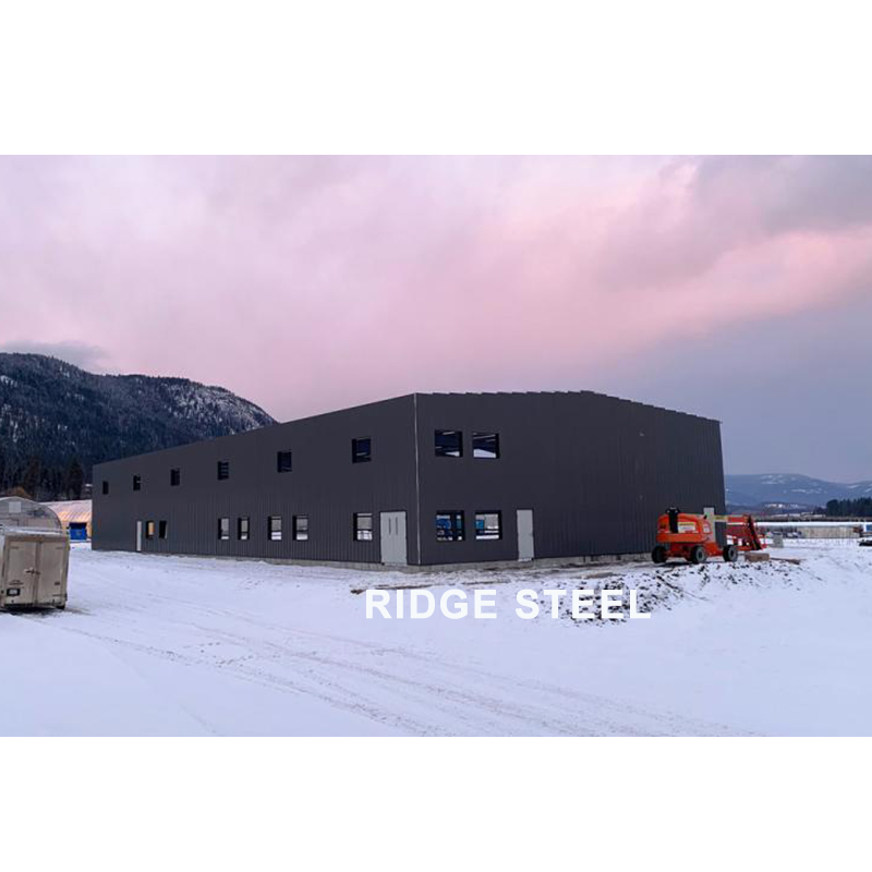 China Professional Building Design Prefabricated Steel Structure Frame Workshop Shed