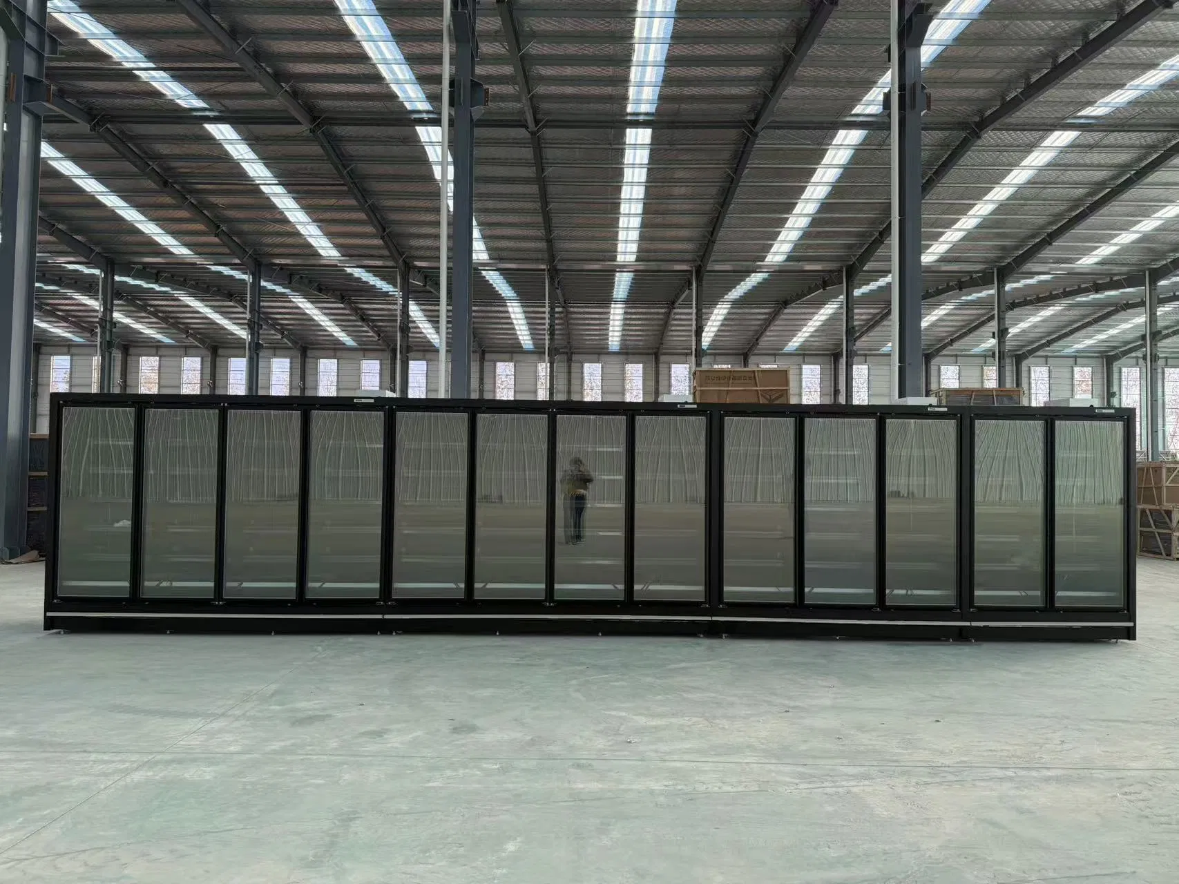 Commercial Upright Double Glass Doors Remote Cold Coke Display Freezer Fridge