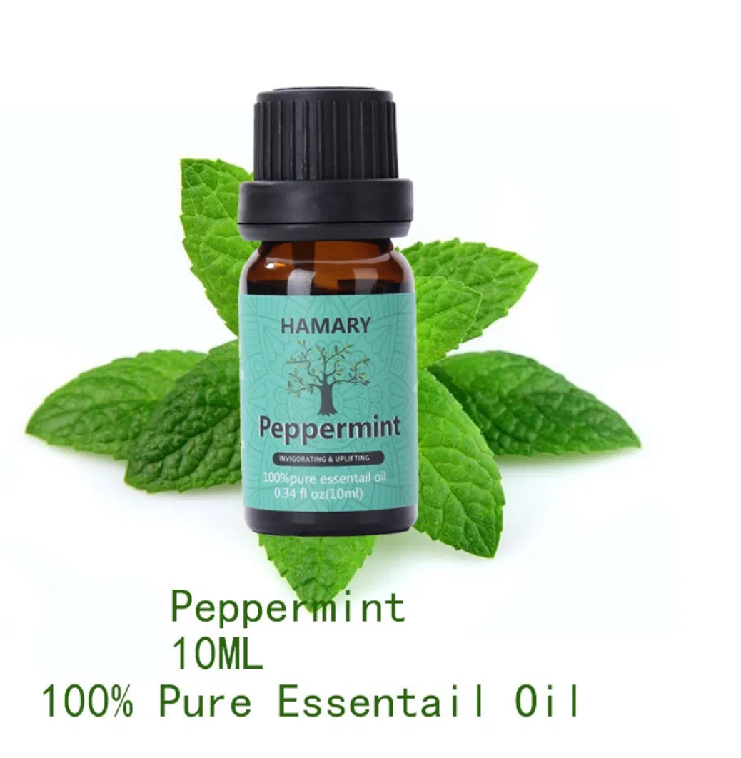 Free Sample Pure Tea Tree Aromatherapy Essential Oil Skin Whitening Massage Serum Oil for Face Body 10ml