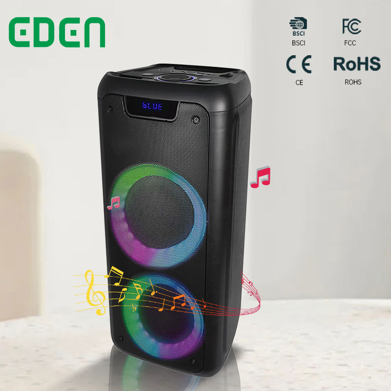 Best-Selling Dual 6.5inch Private FM Radio Wireless Bluetooth Rechargeable Portable Karaoke System USB SD Speaker