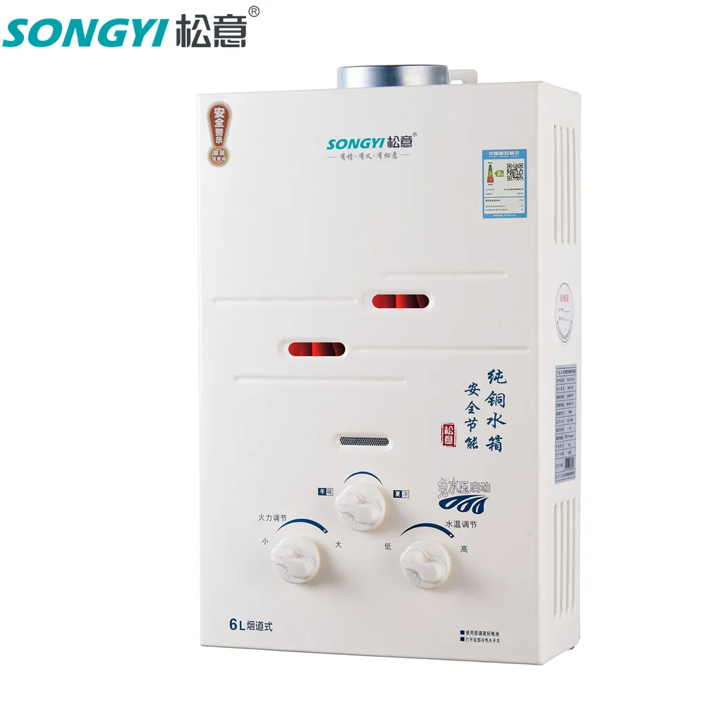 Intelligent Condensing Gas Tankless Water Heater with Super High Efficiency Plus Propane Heater for Indoor Installation
