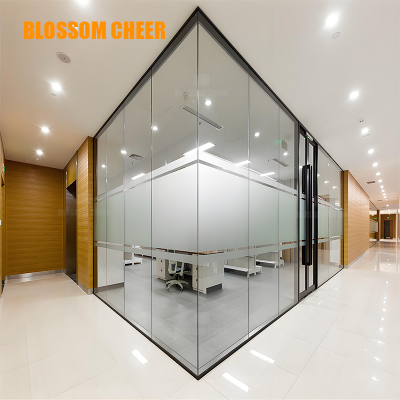Minimalist Office Internal Glass Partition Wall Door System with Single or Double Panels