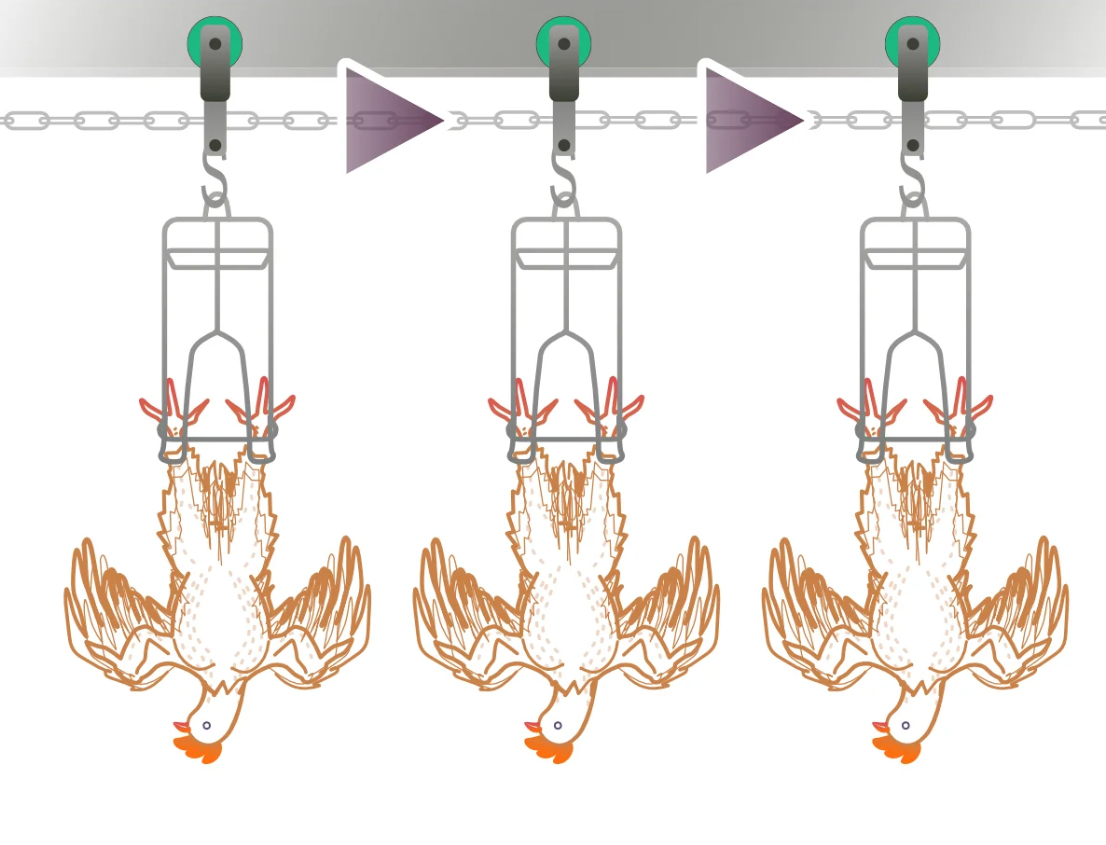 Nylon Trolley Set for Efficient Chicken Slaughtering Operations