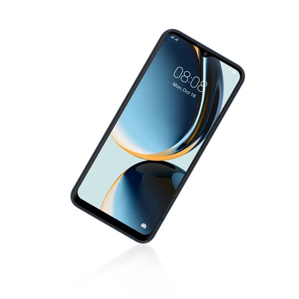 Кнопочный телефон Lesia Young 3, 4G, 6.56" HD