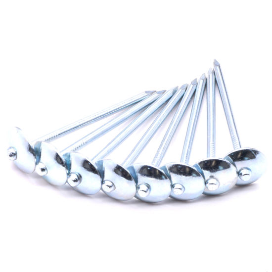 Hot Sale Chian Factory Galvanized Corrugated Twist Shank Roofing Nail