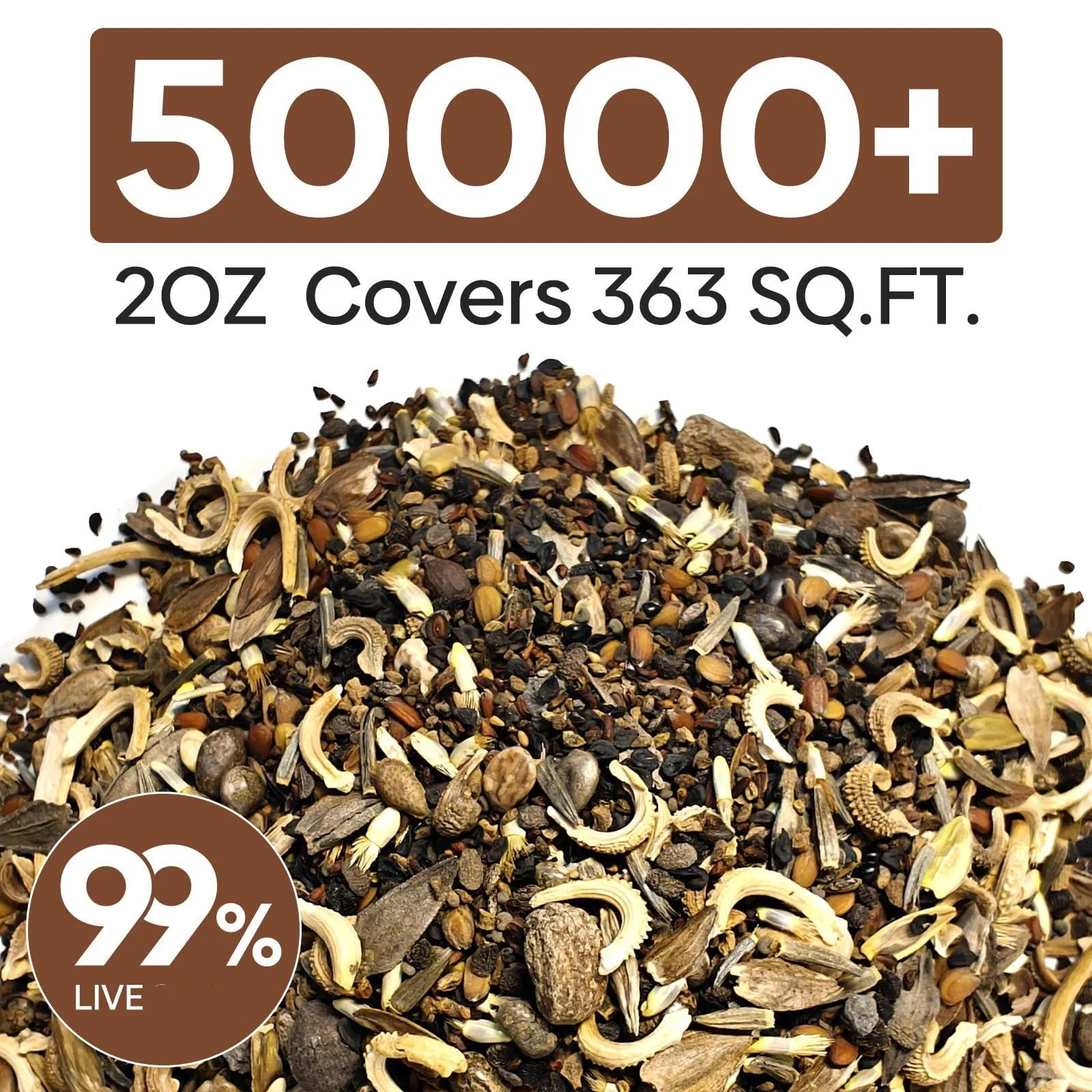 Wild Flower Garden Seed Mix Packet Kit