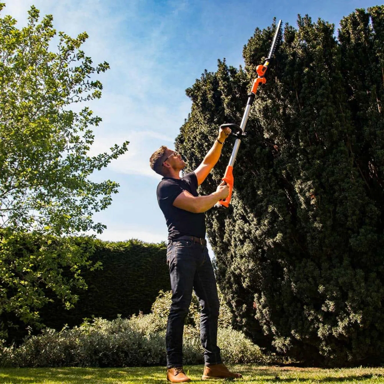 Lh C41A - Cutting Edge Battery-Powered Aluminium Tube Hedge Cutter Tree Trimmer