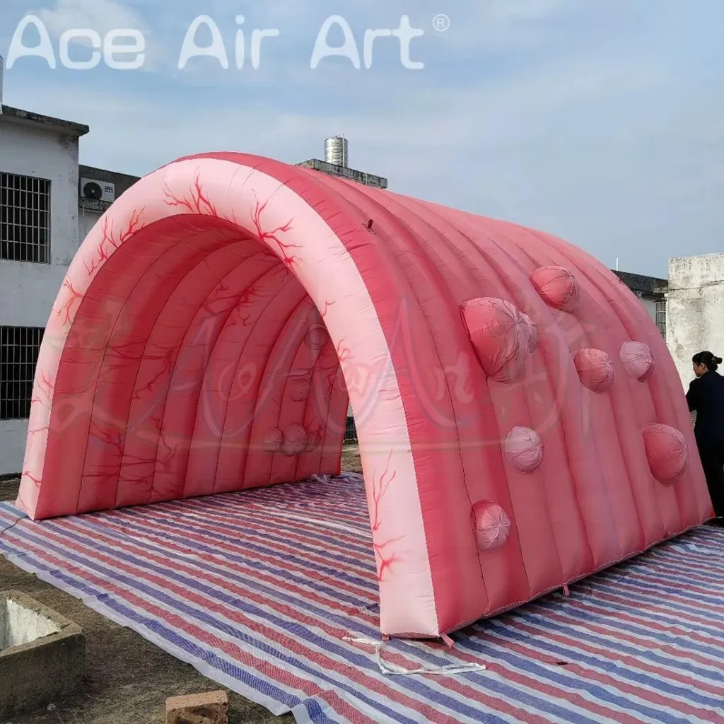 Hot Sale Inflatable Tunnel Medical Themed Event Display Use Inflatable Colon Tunnel Inflatable Intestine Tunnel