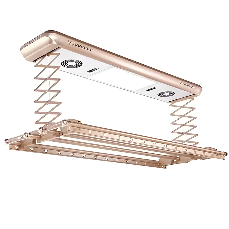 Modern Home Remote Control Electric Clothes Drying Rack