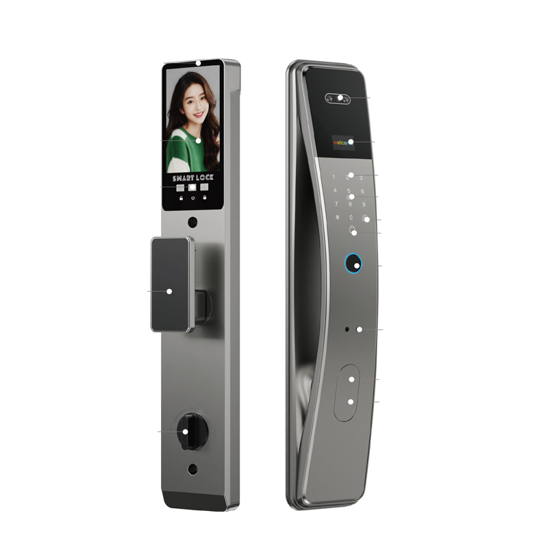 Economy 3D Face Unlock Alumnium Material Smart Lock