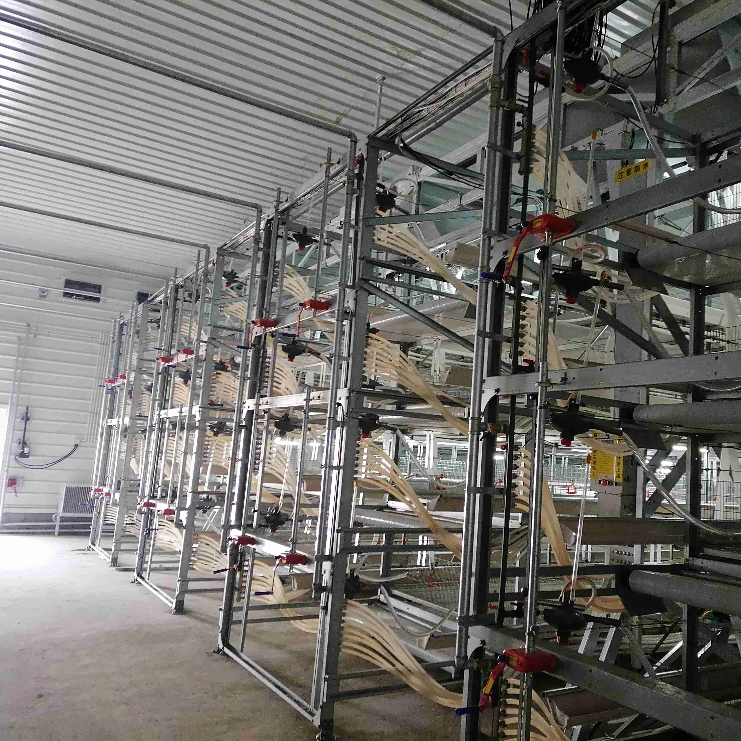 Light Steel Easy to Manage and Put Into Small Broiler Chicken House