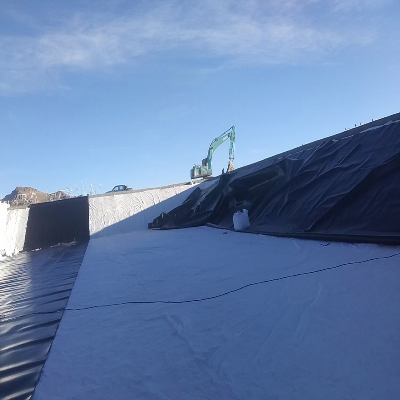 High-Quality LDPE Geomembrane for Durable Water Containment Solutions