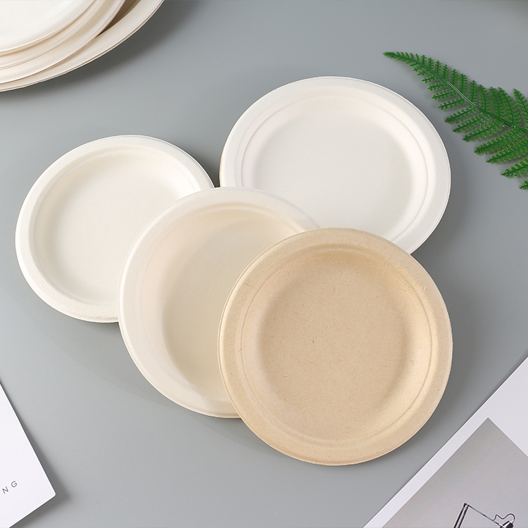 Eco Friendly Biodegradable Disposable Degradable Sugarcane Dinner Bagasse Plate