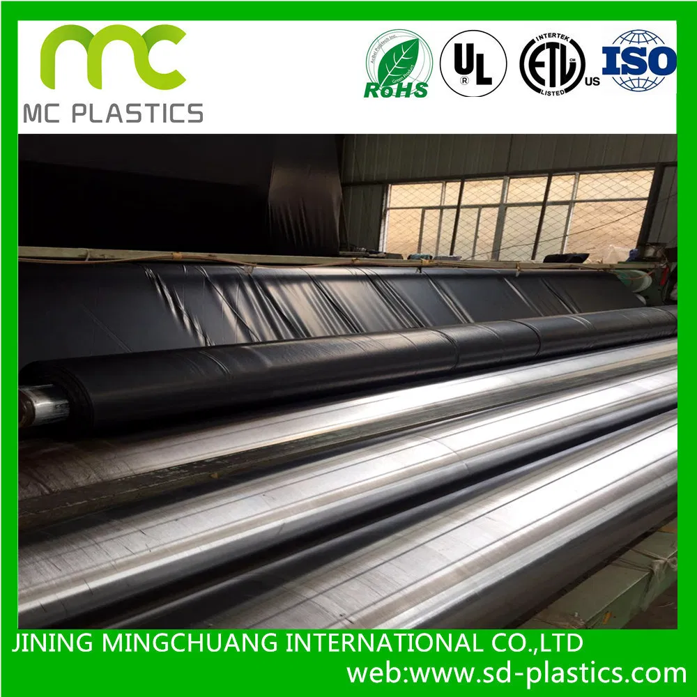 High Quality Pond Liner HDPE LDPE PVC Smooth Geomemnbrane for Fish Farm