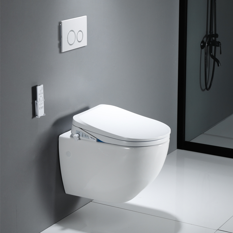 Modern Ceramic Body Wall Hung Toilet