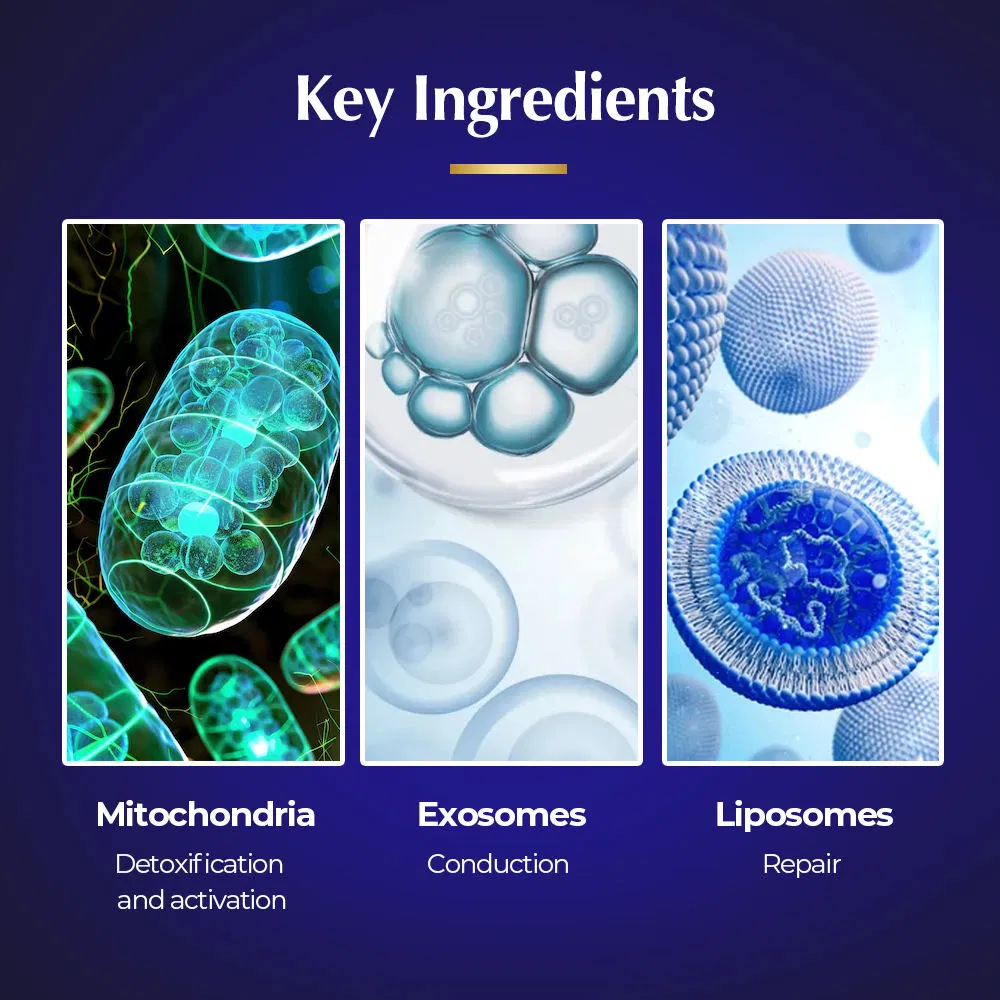 Exosome Face Toner Anti-Aging Moisturizer Liposomes Mitochondria Whitening